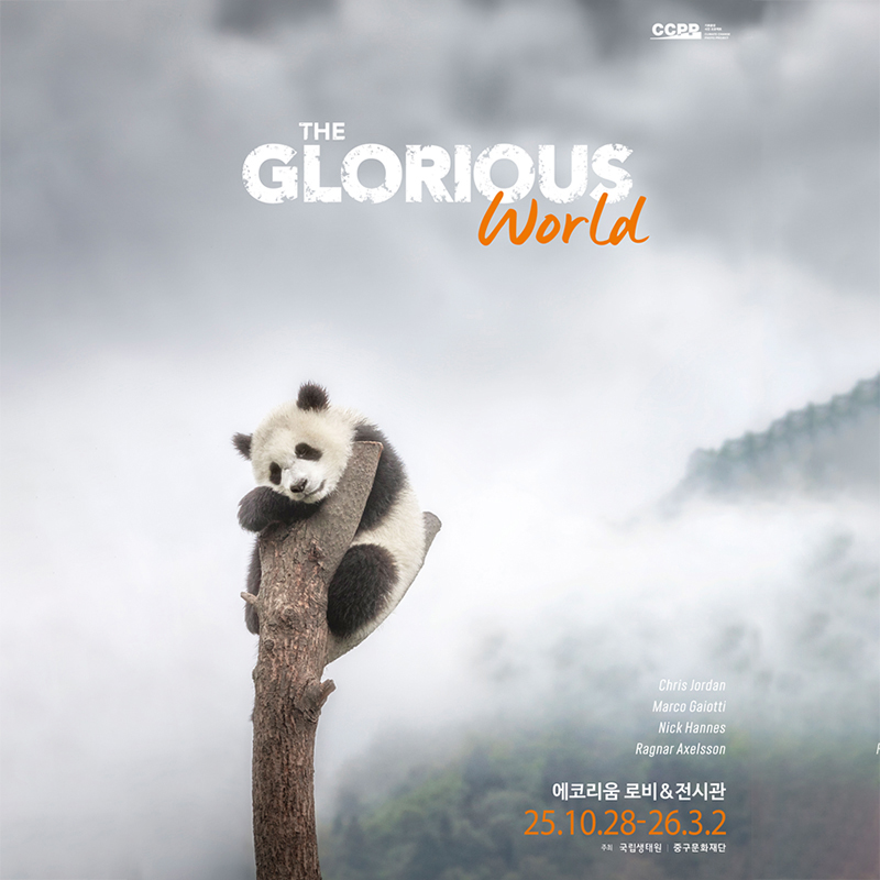 포트폴리오 4